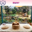 남원읍-55 이미지