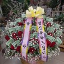 해바라기꽃집 - 여수시 만성로 56 | 해바라기꽃집