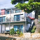 별빛키즈 애견 풀빌라 | 경주 울산근교 아이와 반려견이 함께 즐기기 좋은 경주 애견풀빌라 별빛키즈애견풀빌라 후기