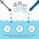 엘리나의원