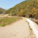 영덕공인중개사사무소 이미지