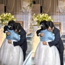 성준아트 | 광주 제이아트 아모레홀 정원헬퍼스냅과 함께한 본식후기