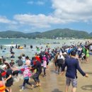 도구로 55 이미지