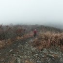 영천초등학교 이미지