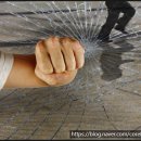 코어브랜더