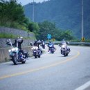 대관령한우타운 - 평창군 | 대관령한우타운