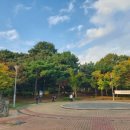 수지체육공원 농구장 이미지