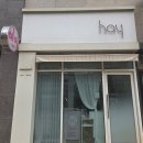 보람동_해들510동 | [세종] 세종 보람동 네일샵 추천 헤이네일, 영롱한 자석젤 후기