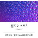 아누비스에스테틱 이미지