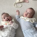 4개월 원더윅스 뒤집기 지옥 희망편! 별일없이 지나갔던 쌍둥이 실제 후기