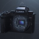 광포전자 이미지