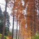 행운 태양광 발전소 이미지