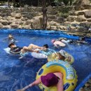 선야봉캠핑장 | 운주계곡캠핑장/완주여름캠핑/완주갈만한곳/수영장있는캠핑장