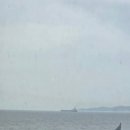 보보스 | 대천 해수욕장 여행코스 아이랑가볼만한곳 보보스레스토랑 대천랜드 카레이싱 후기