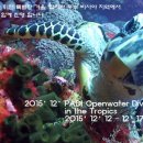 2015'12'12 - 12'17 finished book : PADI Openwater Diver Course Cebu Mactan 이미지