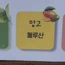 모두 예쁘게 피어나 이미지