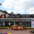계류리예술창고 | 평강랜드 핑크뮬리/포천 가볼만한 곳/포천 당일치기여행/산정호수