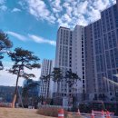 덕은조경산업 | 고양시 덕은지구 DMC리버파크자이 등 방문기