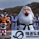 신성태권도 이미지