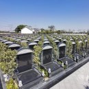 집값보다 비싼 中 묘지… ㎡당 1.5억원짜리 상하이에 등장 이미지