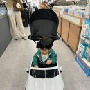 베네피아부천점 | 베네피아 부천점 파파야나인 BMW푸쉬카 구매 후기