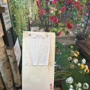 예술이네 | 안양예술공원맛집 야장 <맛있는찌개>내돈내산 후기!