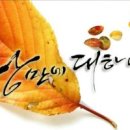 낭만에대하여 이미지