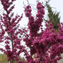 슈필렌유치원 이미지