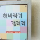 해바라기갤러리 이미지