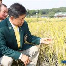 유금2리 이미지