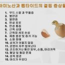 팜라이프 이미지