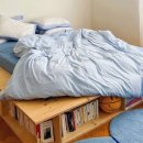 풍성이불집 이미지