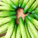 오이지 카카오 검색결과