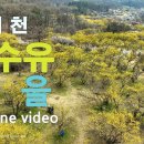 대중교통으로 노랑노랑 이천 산수유 마을 여행 이미지