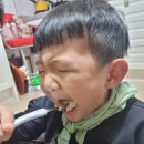 단양 새싹 어린이집 이미지