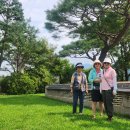 인제19-1 이미지