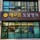 해오름 동물병원 이미지