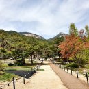 이민숙농장 이미지