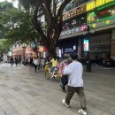 솜사탕자판기 현지공장 방문기(1)