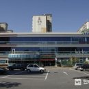 플라워 테라피 이미지