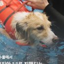 독핏 - 강남구 삼성로133길 7 | 독핏