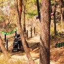 동화마을수목원 이미지