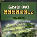 ​양산 동원로얄CC 금요일 3부 야간 라이트상태 진행시간 그린 페어웨이 상태 샷이글 후기