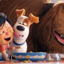 올 마이 펫 이미지