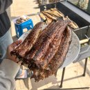 깔끔하게 손질된 장어 살 수 있는 곳 ‘(주)동강실업’(장어생물, 생장어, 장어양식, 포장, 바베큐 구이...