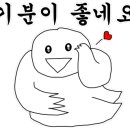 인디안요가