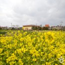 탄도민박 이미지