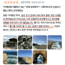 멜버른 여행 8월 9월 날씨 / 겨울 근교 여행 코스 추천 / 그레이트오션로드 투어 팁