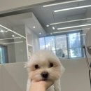 위드스테이부산 이미지