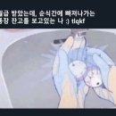 벚꽃사이로 이미지
